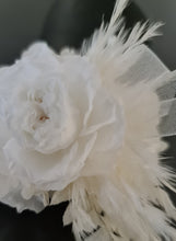 Load image into Gallery viewer, Off White & white preserved French peony corsage & buttonhole AB2136 - School formal, prom, graduation