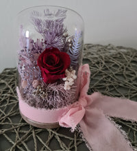Load image into Gallery viewer, Mini glass flower dome w mini preserved burgundy rose – AB2196