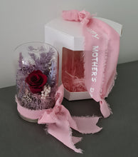 Load image into Gallery viewer, Mini glass flower dome w mini preserved burgundy rose – AB2196