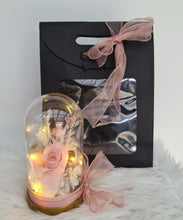 Load image into Gallery viewer, Medium glass flower dome nude & blush with preserved rose – AB2199