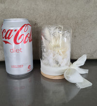 Load image into Gallery viewer, Preserved everlasting flowers baby glass dome - White