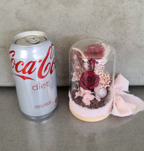 Load image into Gallery viewer, Preserved everlasting flowers baby glass dome - Pink & burgundy