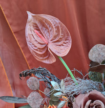 Load image into Gallery viewer, Rustic style terracotta orange wedding signing table flowers - Centrepiece
