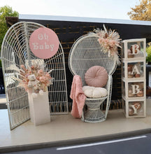 Load image into Gallery viewer, Oh Baby Pastel Dusty pink Deluxe Package - HIRE ONLY