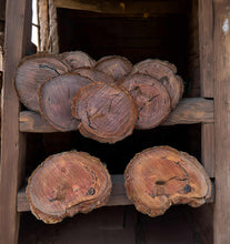 Load image into Gallery viewer, Rustic wood rounds (20cm) - HIRE ONLY