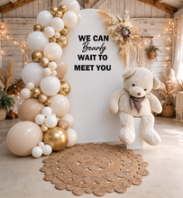 Load image into Gallery viewer, Baby shower gender reveal – Basic package - HIRE ONLY