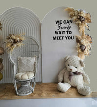 Load image into Gallery viewer, Baby shower gender reveal – Deluxe Package - HIRE ONLY