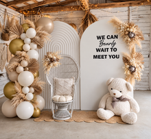 Load image into Gallery viewer, Baby shower gender reveal – Deluxe Package - HIRE ONLY