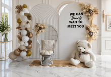 Load image into Gallery viewer, Baby shower gender reveal – Deluxe Package - HIRE ONLY