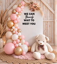 Load image into Gallery viewer, Baby girl – Baby shower Basic Package Style 1 - HIRE ONLY