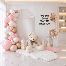 Load image into Gallery viewer, Baby girl – Baby shower Deluxe Package Style 1 - HIRE ONLY