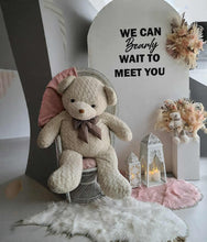 Load image into Gallery viewer, Baby girl – Baby shower Deluxe Package Style 2 - HIRE ONLY