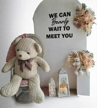 Load image into Gallery viewer, Baby girl – Baby shower Deluxe Package Style 2 - HIRE ONLY