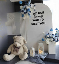 Load image into Gallery viewer, Baby boy – Baby shower Deluxe Package Style 1 - HIRE ONLY