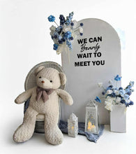 Load image into Gallery viewer, Baby boy – Baby shower Deluxe Package Style 2 - HIRE ONLY