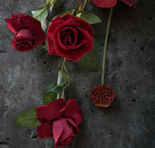 Load image into Gallery viewer, Burgundy / dark red hanging flowers LARGE – arch, backdrop, arbour - HIRE ONLY
