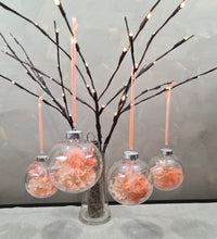 Load image into Gallery viewer, Set of 4 Preserved Flowers Christmas baubles in Blush Peach