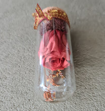 Load image into Gallery viewer, Cute mini preserved rose thumb glass dome Xmas gift