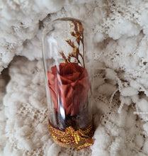 Load image into Gallery viewer, Cute mini preserved rose thumb glass dome Xmas gift