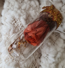 Load image into Gallery viewer, Cute mini preserved rose thumb glass dome Xmas gift
