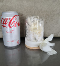 Load image into Gallery viewer, Mini Preserved flowers Xmas dome with glitter bauble - Off white