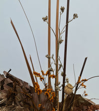 Load image into Gallery viewer, Terracotta preserved peony in wicker pot - MOT05