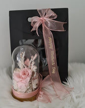 Load image into Gallery viewer, Medium dome w blush rose flowers, gift box & ribbon w lights - MOT18