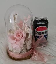 Load image into Gallery viewer, Medium dome w blush rose flowers, gift box & ribbon w lights - MOT18