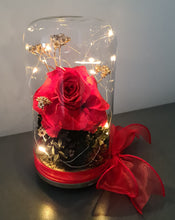 Load image into Gallery viewer, Medium dome red rose and champagne gold + gift box & ribbon w lights - MOT20