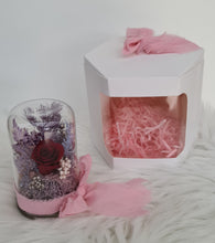 Load image into Gallery viewer, Mini glass flower dome w mini preserved burgundy rose –  AB2196
