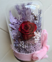 Load image into Gallery viewer, Mini glass flower dome w mini preserved burgundy rose –  AB2196
