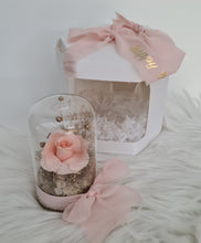 Load image into Gallery viewer, Mini glass flower dome w mini preserved blush rose –  AB2198
