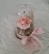 Load image into Gallery viewer, Mini glass flower dome w mini preserved blush rose –  AB2198
