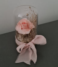 Load image into Gallery viewer, Mini glass flower dome w mini preserved blush rose –  AB2198
