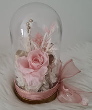 Load image into Gallery viewer, Medium glass flower dome nude &amp; blush with preserved rose –  AB2199
