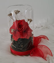 Load image into Gallery viewer, Medium glass flower dome with reflexed preserved red love rose – AB2201
