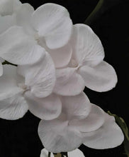 Load image into Gallery viewer, Black &amp; white floor / plinth flowers - HIRE ONLY
