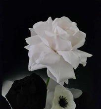 Load image into Gallery viewer, Black &amp; white floor / plinth flowers - HIRE ONLY
