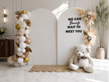 Load image into Gallery viewer, Baby shower gender reveal – Advanced Package - HIRE ONLY
