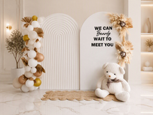Load image into Gallery viewer, Baby shower gender reveal – Advanced Package - HIRE ONLY

