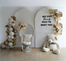 Load image into Gallery viewer, Baby shower gender reveal – Deluxe Package - HIRE ONLY
