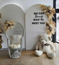 Load image into Gallery viewer, Baby shower gender reveal – Deluxe Package - HIRE ONLY
