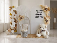 Load image into Gallery viewer, Baby shower gender reveal – Deluxe Package - HIRE ONLY
