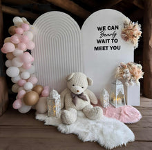 Load image into Gallery viewer, Baby girl – Baby shower Deluxe Package Style 1 - HIRE ONLY
