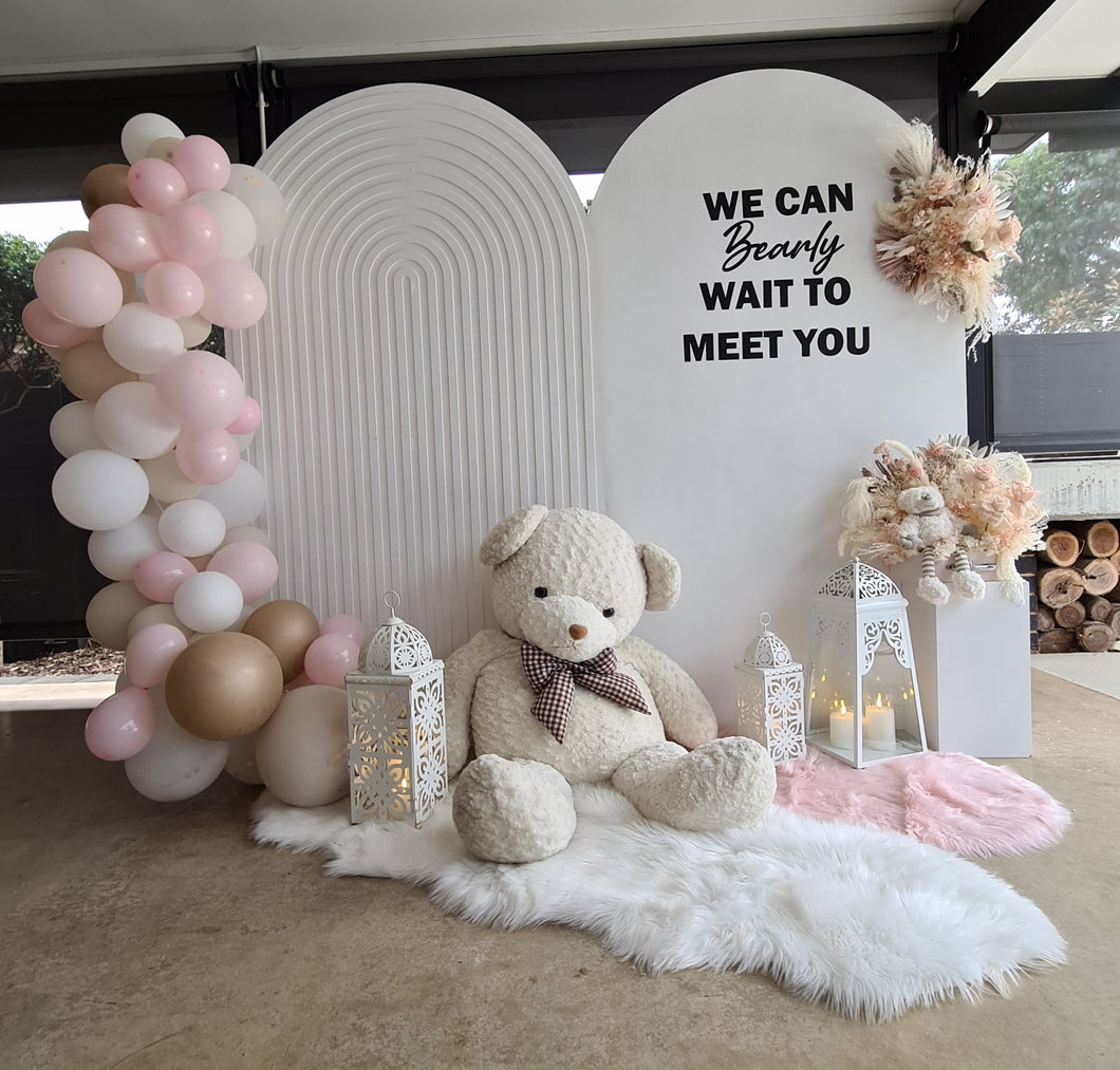Baby girl – Baby shower Deluxe Package Style 1 - HIRE ONLY