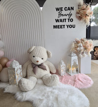 Load image into Gallery viewer, Baby girl – Baby shower Deluxe Package Style 1 - HIRE ONLY
