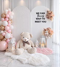Load image into Gallery viewer, Baby girl – Baby shower Deluxe Package Style 1 - HIRE ONLY
