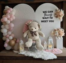 Load image into Gallery viewer, Baby girl – Baby shower Deluxe Package Style 2 - HIRE ONLY
