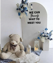 Load image into Gallery viewer, Baby boy – Baby shower Deluxe Package Style 1 - HIRE ONLY
