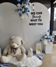 Load image into Gallery viewer, Baby boy – Baby shower Deluxe Package Style 1 - HIRE ONLY
